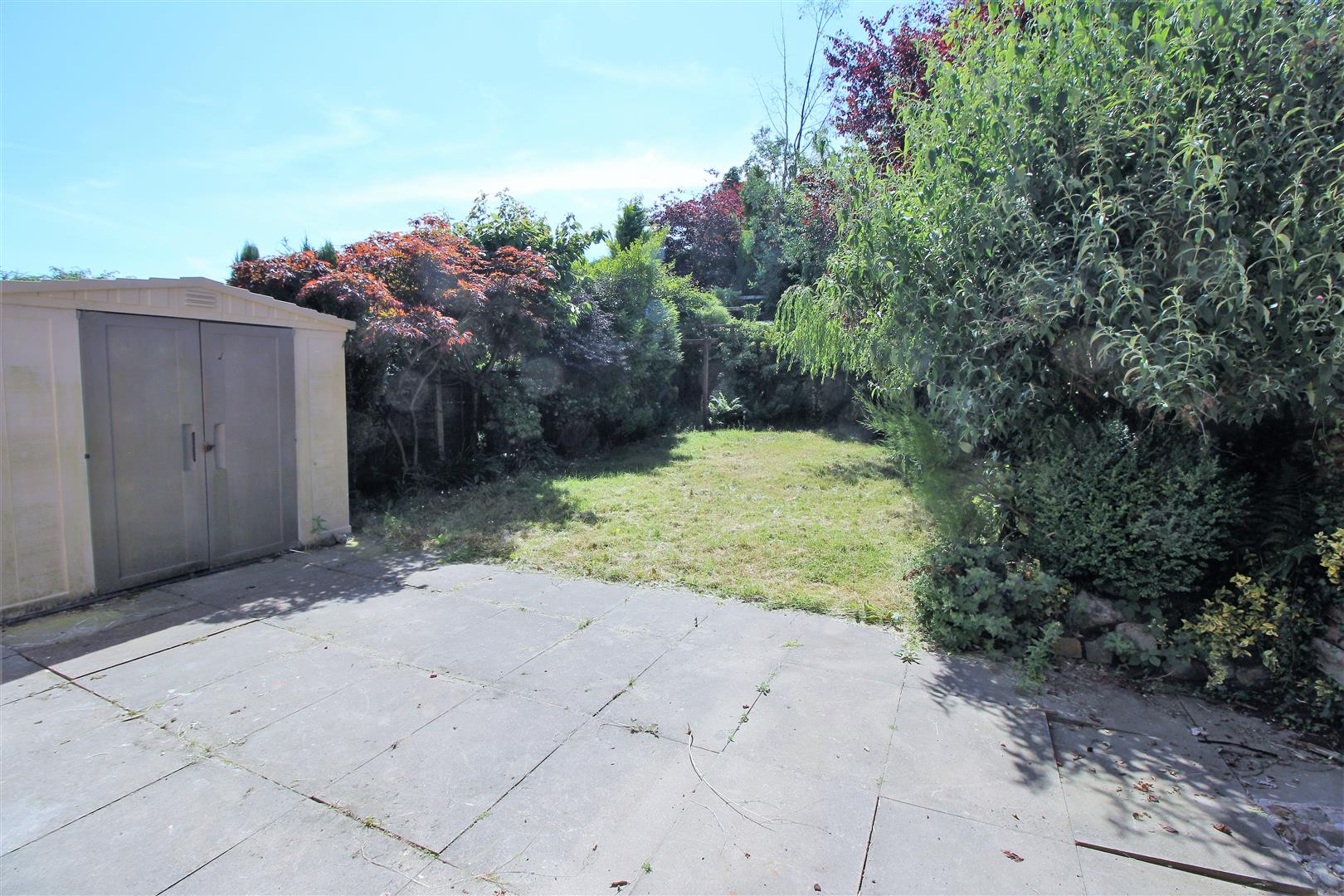 Back Garden